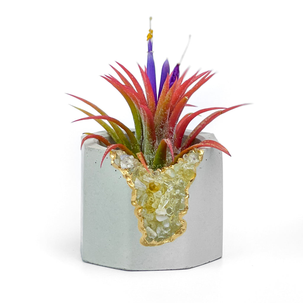 CITRINE GEODE PLANTER