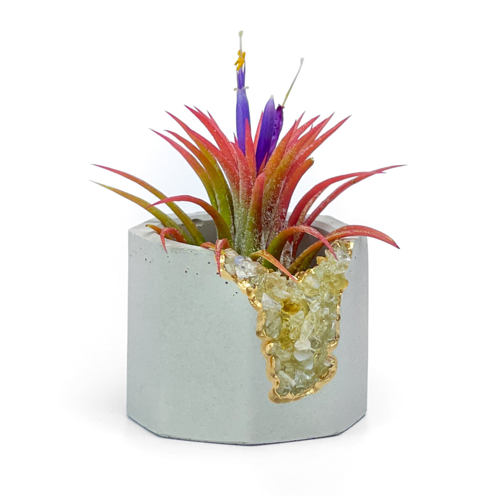 CITRINE GEODE PLANTER