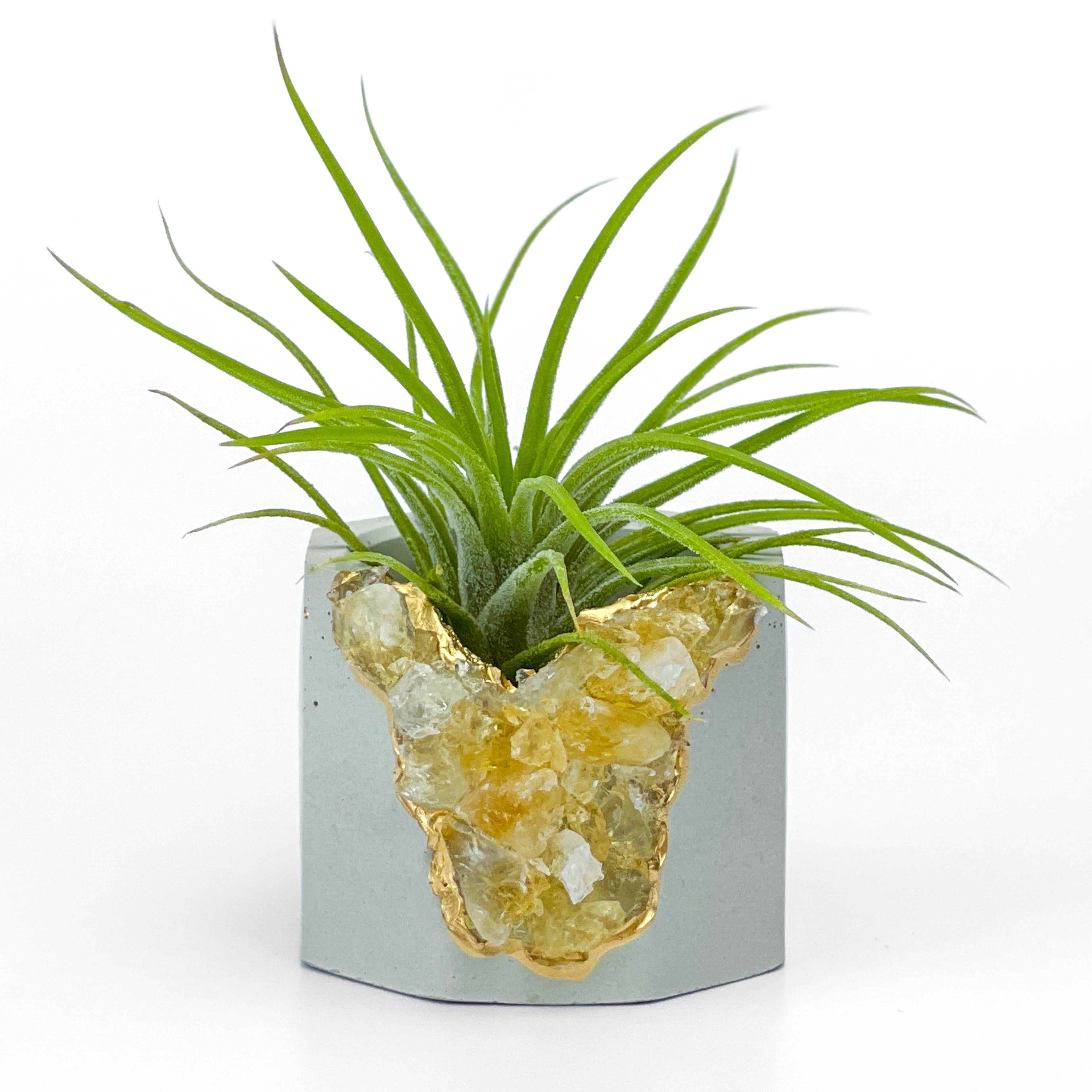 Raw CITRINE GEODE PLANTER