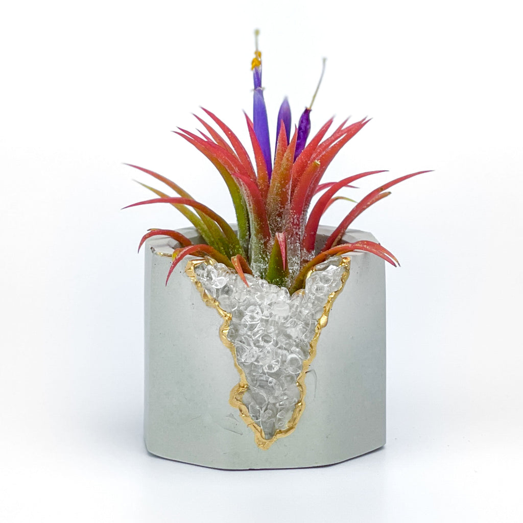 CLEAR QUARTZ GEODE PLANTER