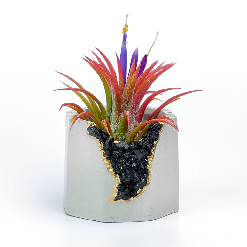 BLACK TOURMALINE GEODE PLANTER