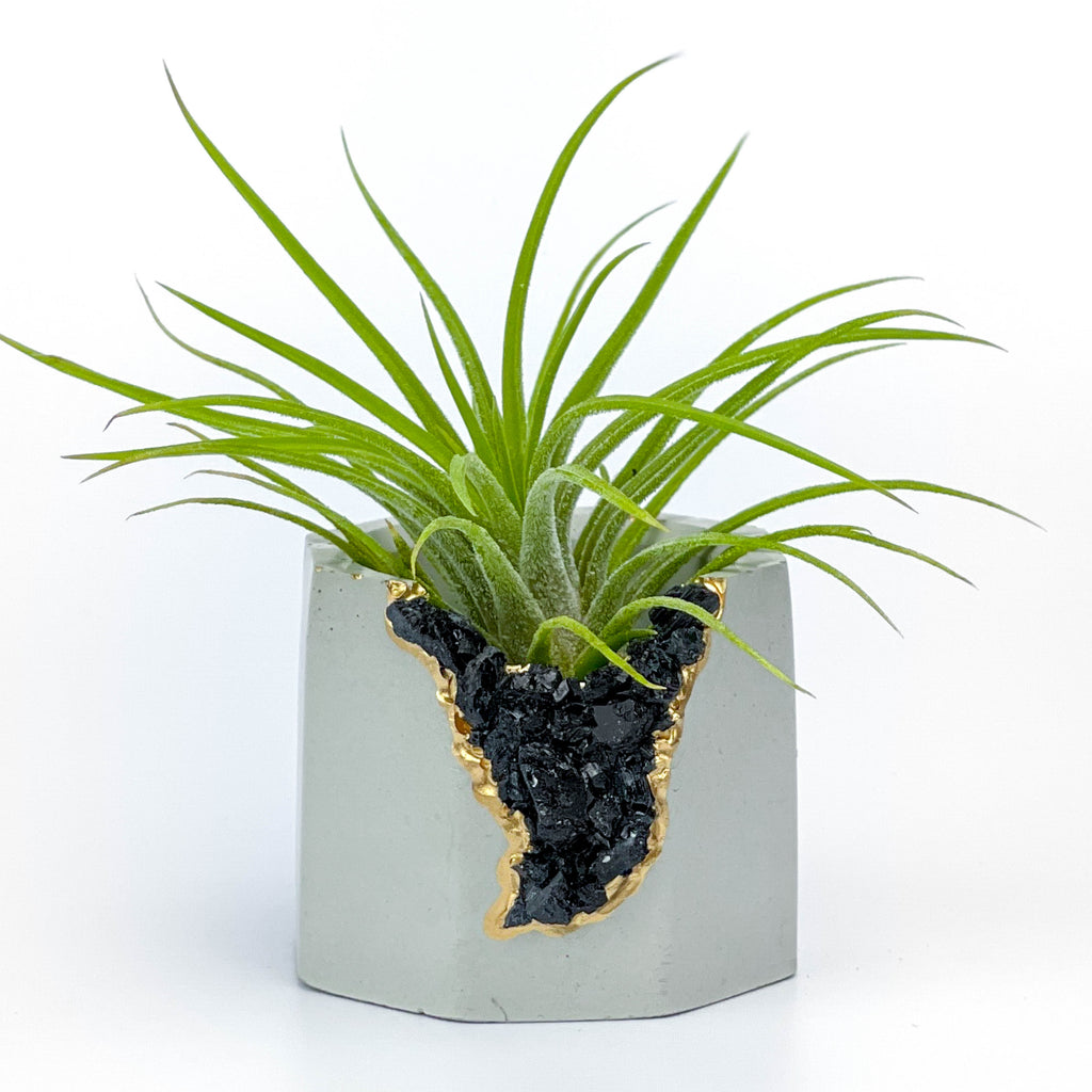 BLACK TOURMALINE GEODE PLANTER