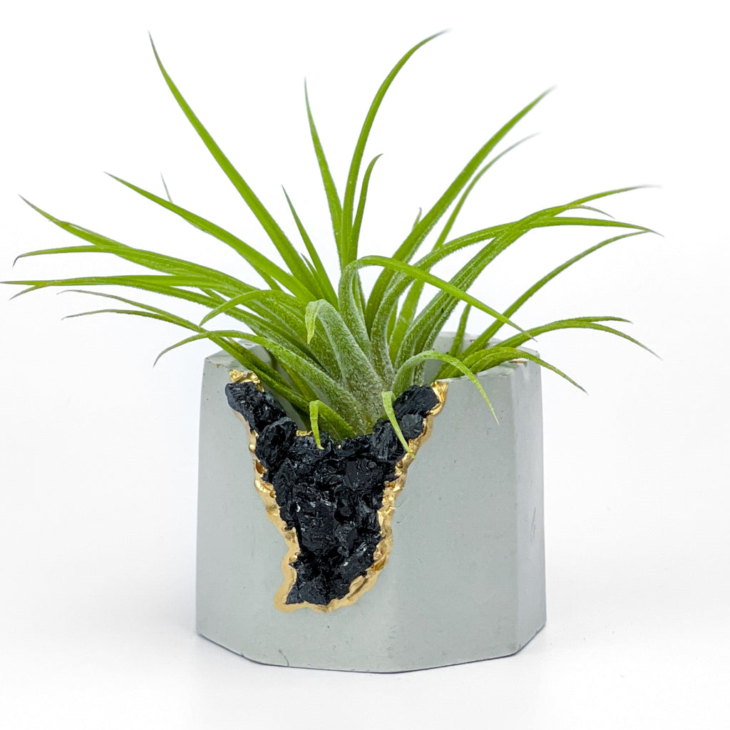 BLACK TOURMALINE GEODE PLANTER