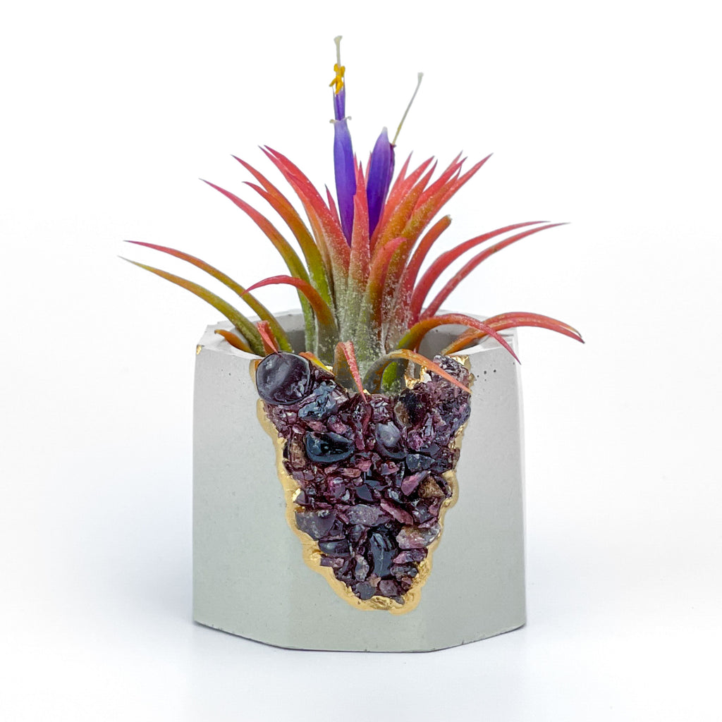 GARNET GEODE PLANTER