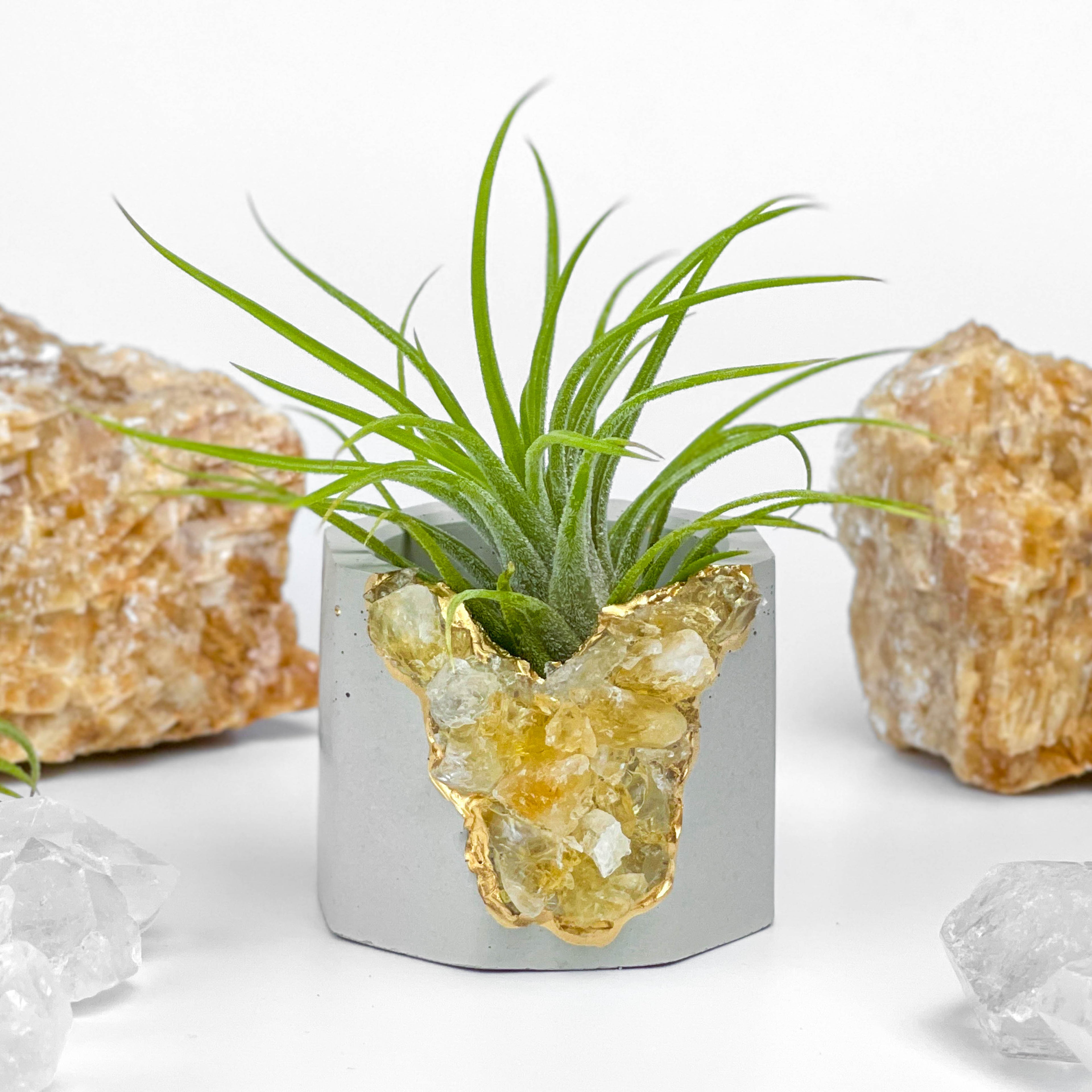 Raw CITRINE GEODE PLANTER