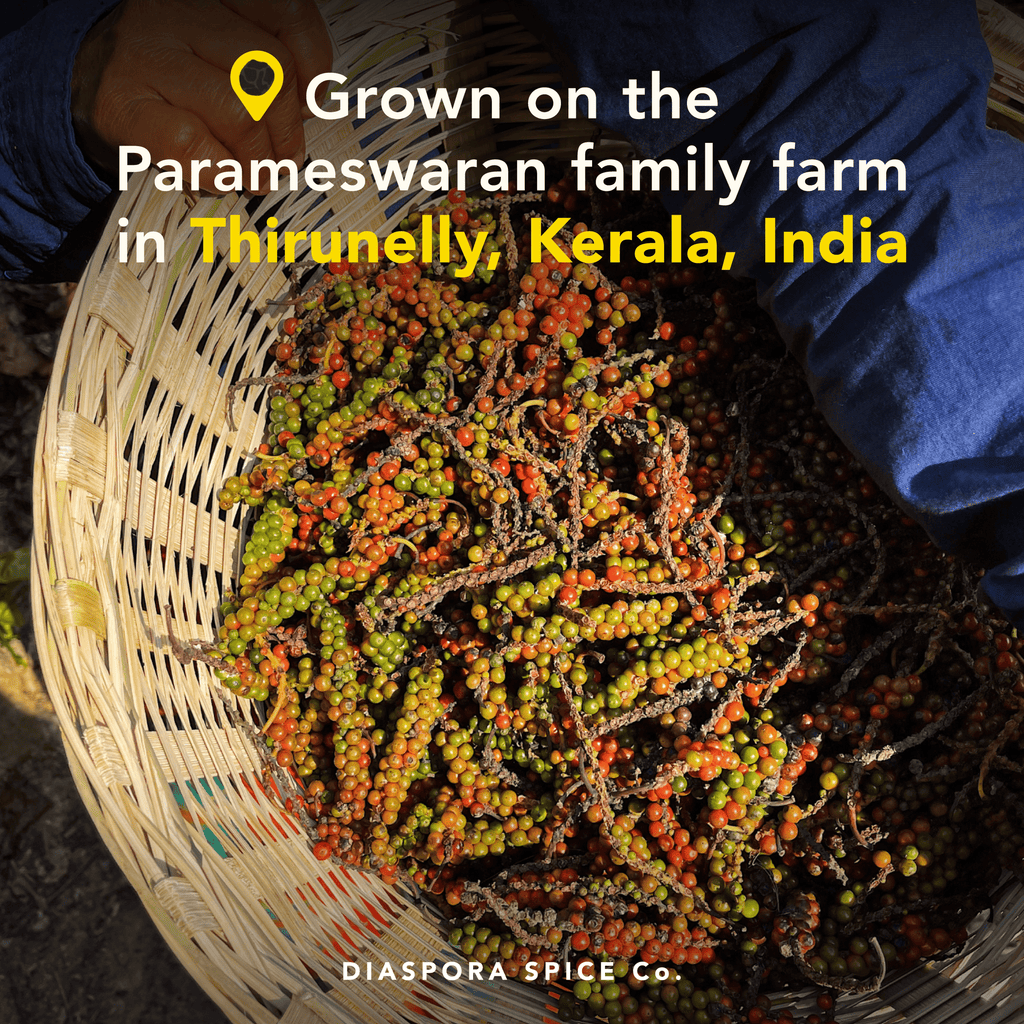 Aranya Black Pepper - Single-Origin Spice