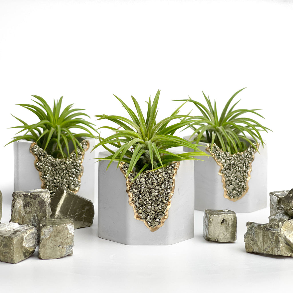 PYRITE GEODE PLANTER