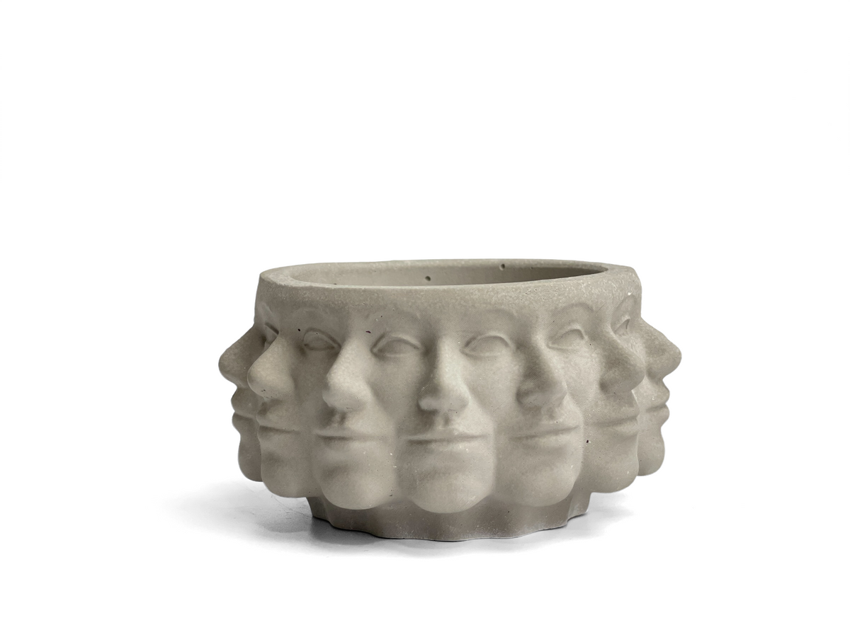 Multi Face Succulent Planter