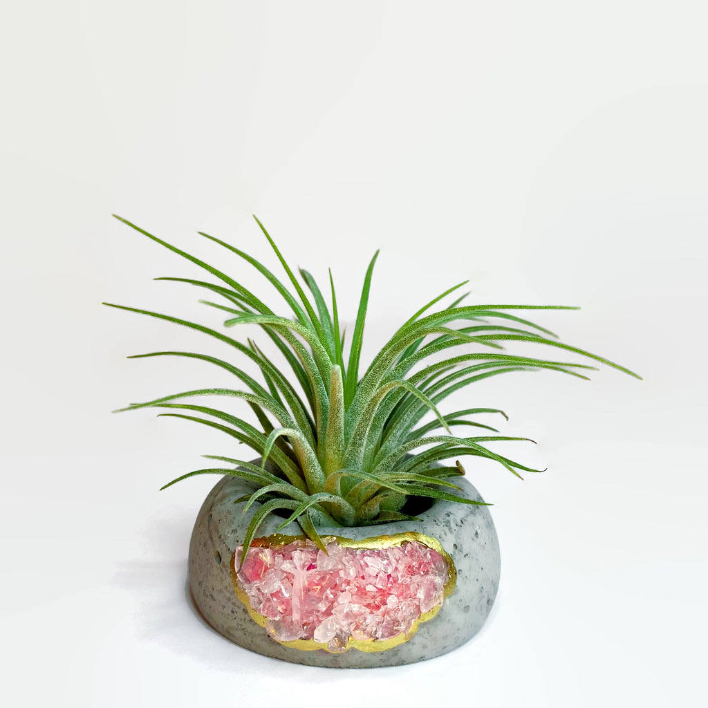 Geode Air Plant Holder -Rose Quartz Crystal Planter