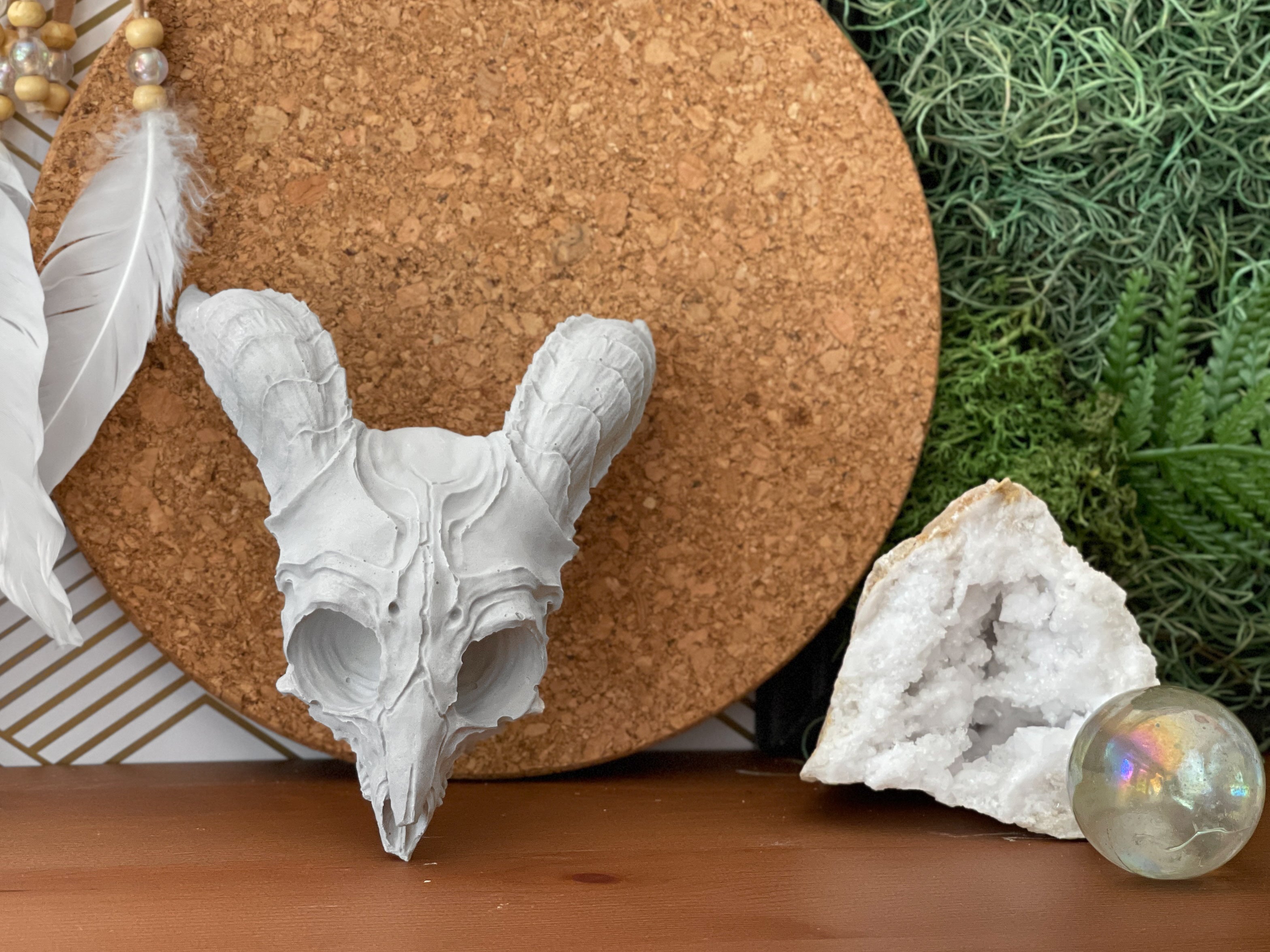 ANIMAL SKULL