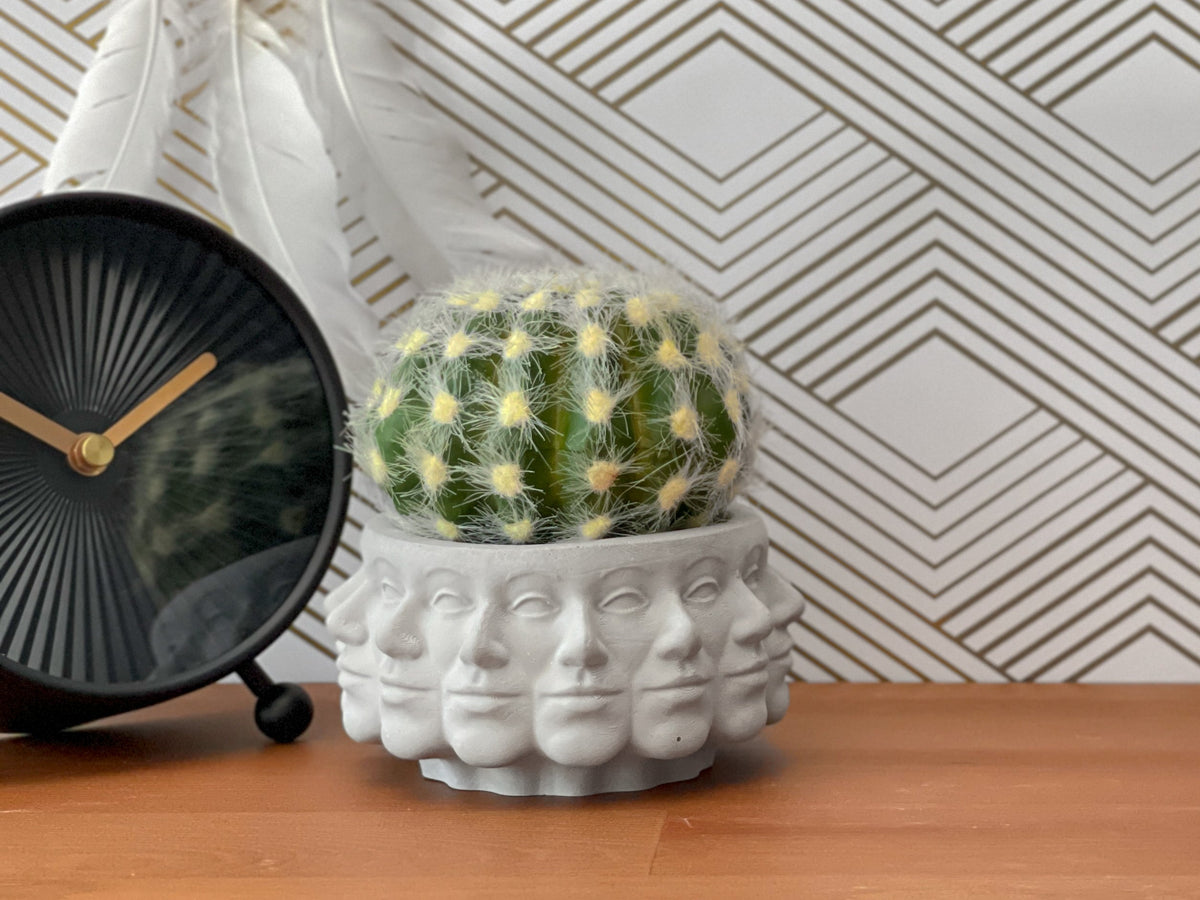 Multi Face Succulent Planter